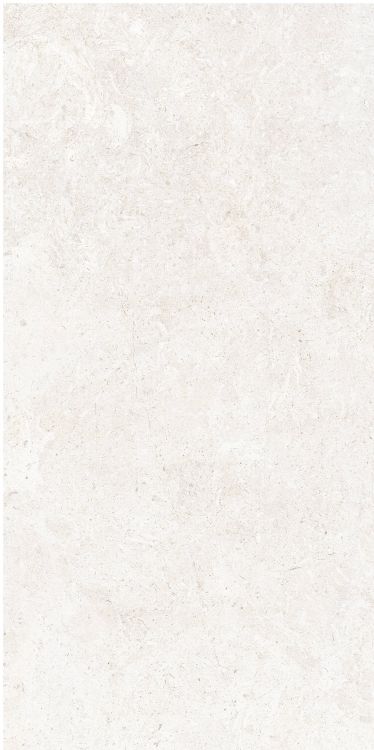 OL Limestone Bianco Matte 12 x 24